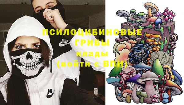 ПСИЛОЦИБИНОВЫЕ ГРИБЫ Балахна