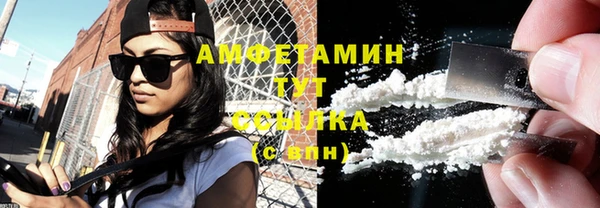 сатива Тобольск
