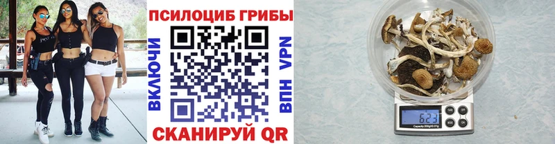 мориарти какой сайт  Краснокаменск  Галлюциногенные грибы мухоморы  цена  